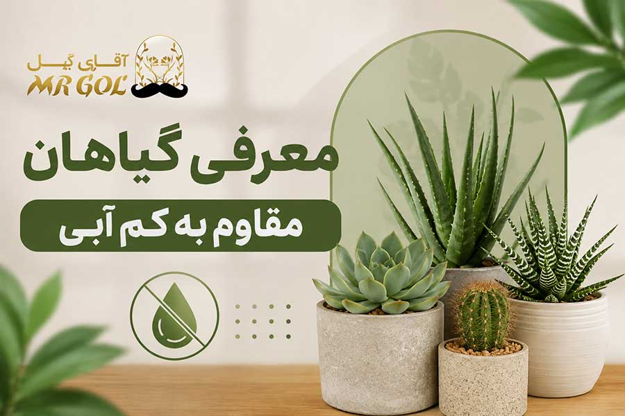 معرفی گیاهان مقاوم به کم آبی
