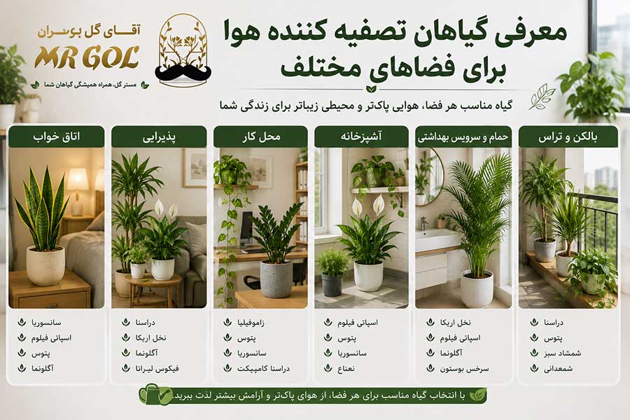 گیاهان آپارتمانی تصفیه کننده هوا